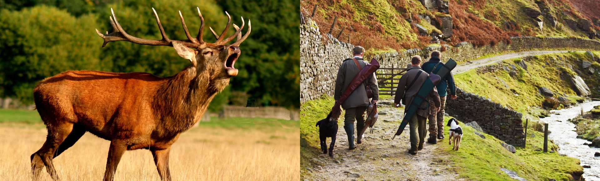 Jagd in Österreich